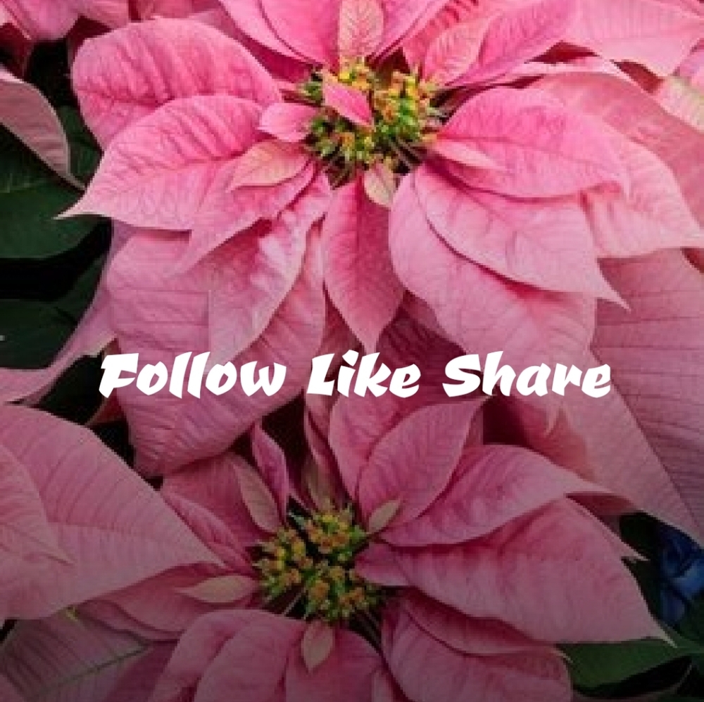 Please Follow my new game! ๐๐ - Picture 9 of 9